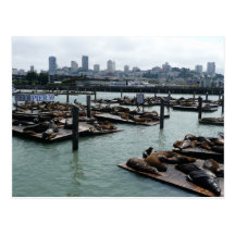 San Francisco and Pier 39 Postcard