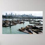 San Francisco and Pier 39 Print