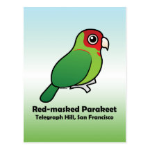 San Francisco Red-masked Parakeet Post Card