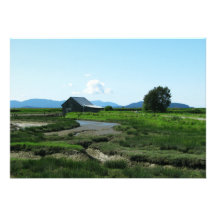 San Juan Islands Hills Cards