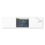 San Juan Whales Bumper Sticker