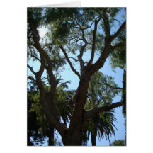 San Luis Rey Mission Greeting Cards