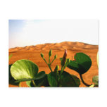 Sand and flowers in Dubai, United Arab Emirates postcards