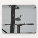 Sand Bar State Park Sea Gull Mouse Pad