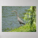 Sand crane posters