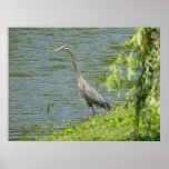 Sand crane print