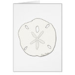 Sand Dollar Cards
