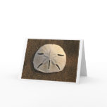 Sand Dollar (Colour) Card