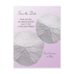 Sand Dollar Save the Date Beach Theme Wedding Post Card