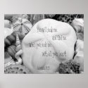 Sand Dollar Scripture Christian Wall Poster posters