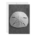 Sand Dollar Shell Beach Invitation (B&W Photo)