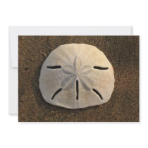 Sand Dollar Shell Beach Invitation (Colour Photo)