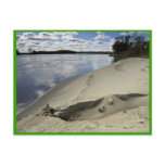 Sand dune at edge of Missouri River postcards