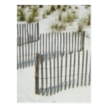 Sand Dune Fence Postcards