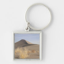 Sand dune formations. Bruneau Dunes State Park 2 Key Chains