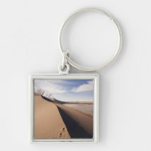 Sand dune formations. Bruneau Dunes State Park Key Chain