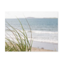 sand dune grass view postcard