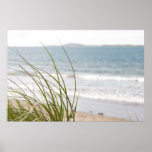 sand dune grass view poster posters