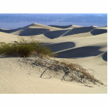 Sand Dunes Desert photo sculptures