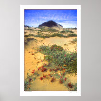 Sand Dunes - Isla Magdelena- Baja Posters
