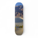 Sand Dunes skateboards