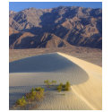 Sand Dunes t-shirts