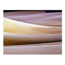 Sand Patterns, Dunes Post Cards