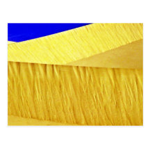Sand Patterns, Dunes Postcard