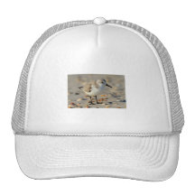 Sand Piper and Seashells Trucker Hat