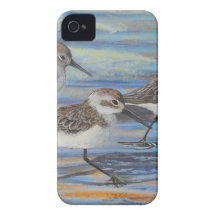 Sand Pipers iPhone 4 Case-Mate Cases