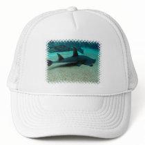Sand Shark Baseball Hat