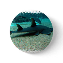 Sand Shark Button