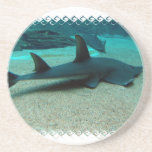 Sand Shark Coaster