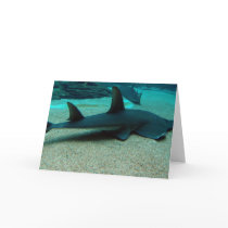 Sand Shark Greeting Card