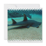 Sand Shark Invitations