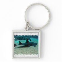Sand Shark Keychain
