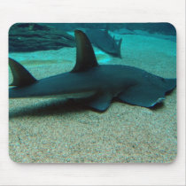 Sand Shark Mouse Pad