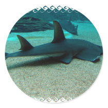 Sand Shark Stickers