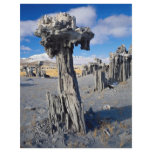 Sand tufa formations, Mono Lake, California, U.S.A flyers