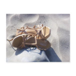 Sandals in the Sand postcards