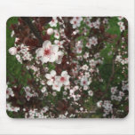 Sandcherry Abstract Mousepad