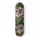 Sandcherry Tree Skateboard