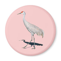 Sandhill Crane Gift Fridge Magnets