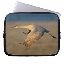 sandhill crane laptop computer sleeves