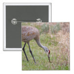 Sandhill Crane Pin