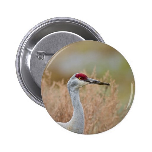 Sandhill Crane Pins