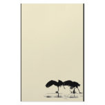 Sandhill Crane Stationery