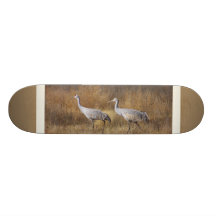 Sandhill Cranes Photography Skateboard