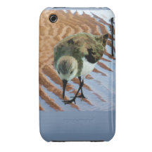 Sandpiper at the Beach Case-Mate iPhone 3 Case