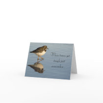 Sandpiper Bird Motivational Card